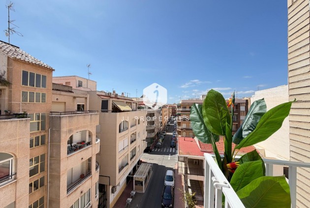 Aus zweiter Hand - Penthouse -
Torrevieja - Estacion de autobuses