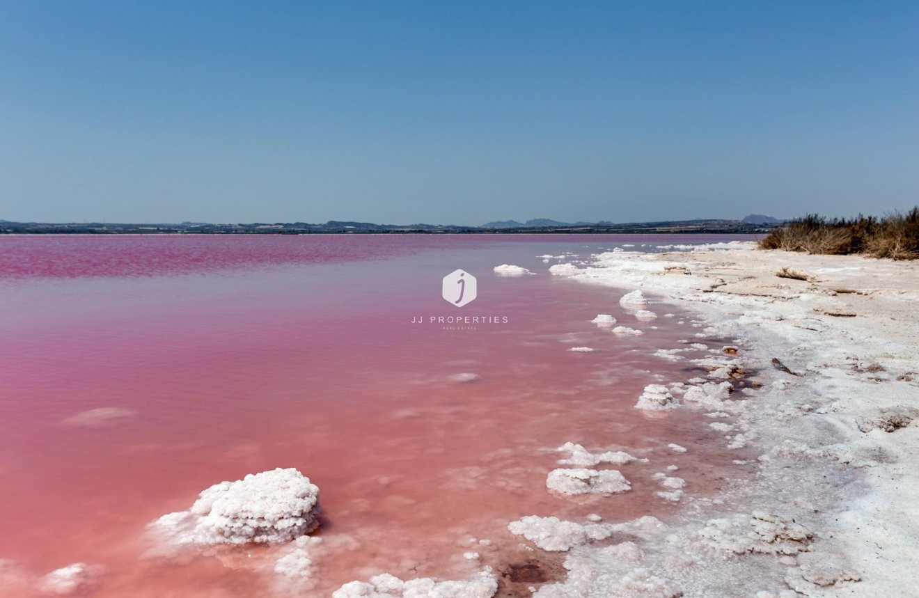 D'occasion - Appartement -
Torrevieja - Centro - Muelle Pesquero