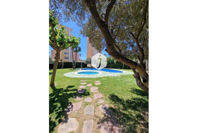 Resale - Apartment / flat -
Guardamar del Segura - Costa Blanca