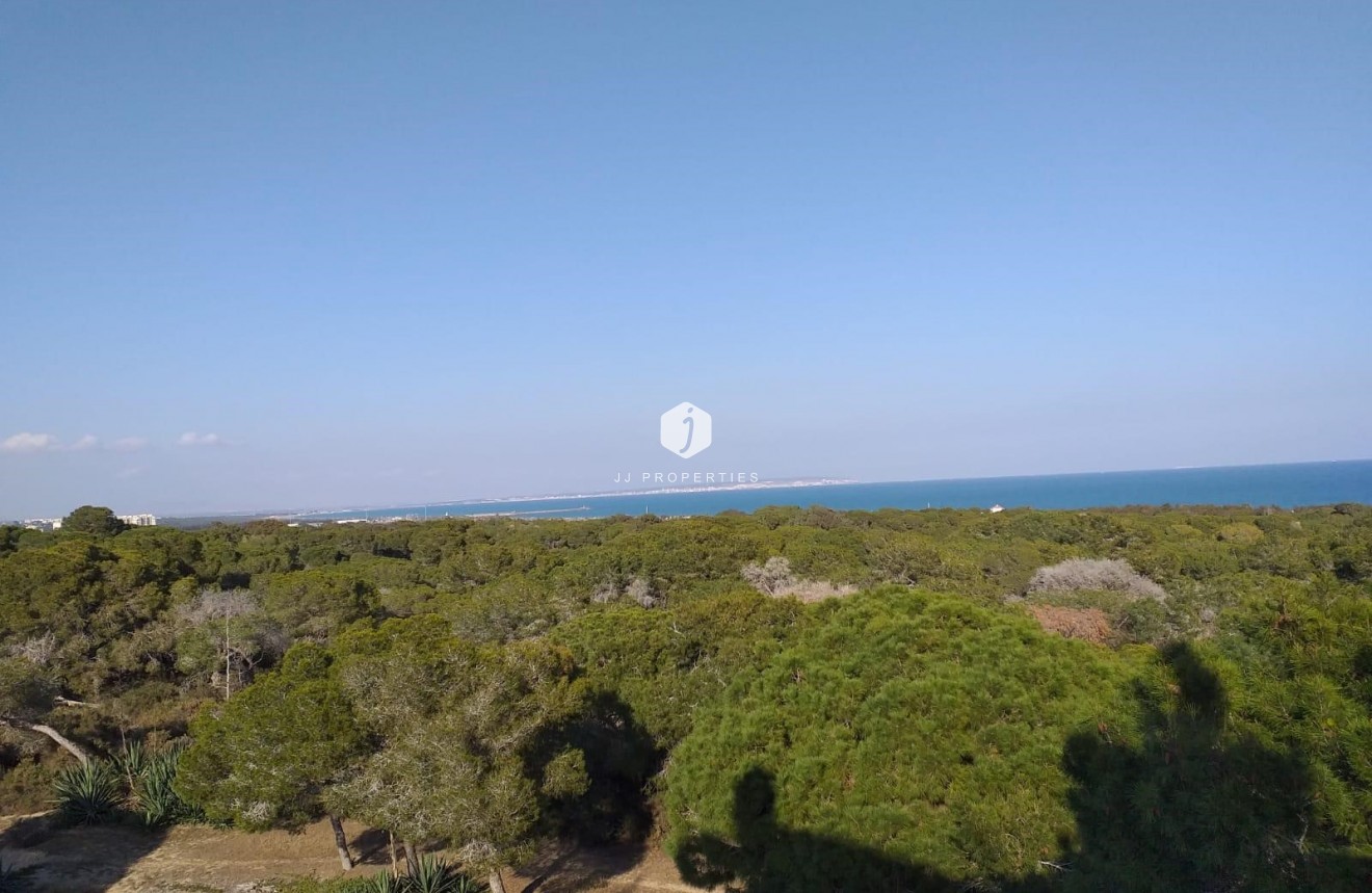 Resale - Apartment / flat -
Guardamar del Segura - Costa Blanca