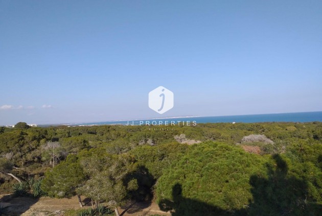 Resale - Apartment / flat -
Guardamar del Segura - Costa Blanca