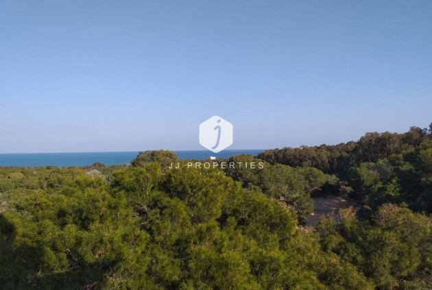 Resale - Apartment / flat -
Guardamar del Segura - Costa Blanca