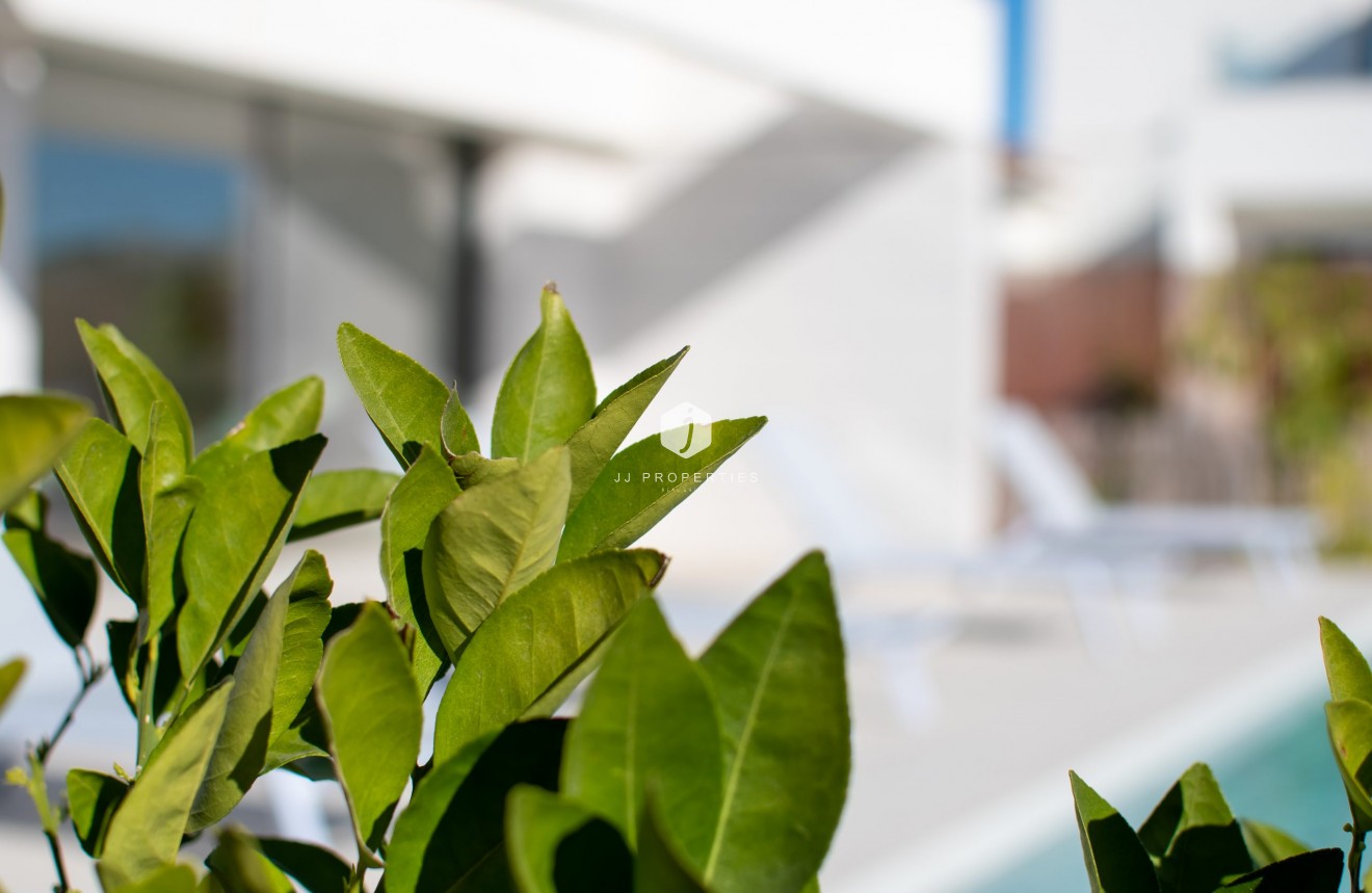 Resale - Villa -
Los Montesinos - Costa Blanca