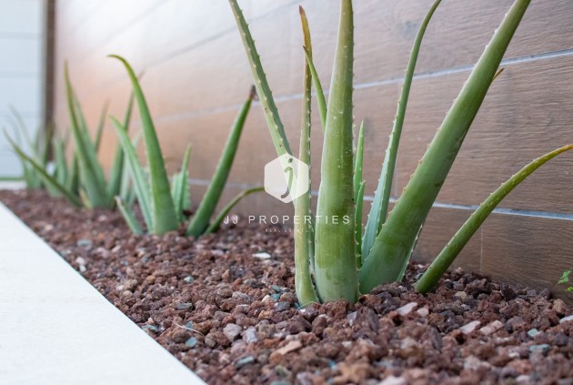 Resale - Villa -
Los Montesinos - Costa Blanca