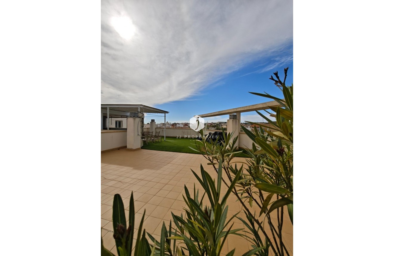 Aus zweiter Hand - Wohnung -
San Miguel de Salinas - Pueblo 9