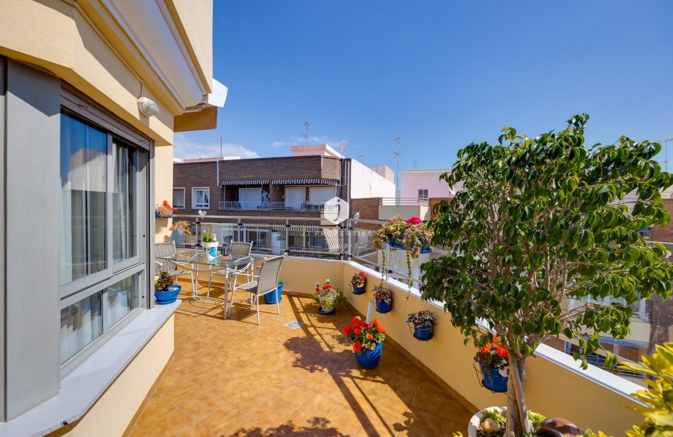 Z drugiej ręki - Daszek -
Torrevieja - Centro