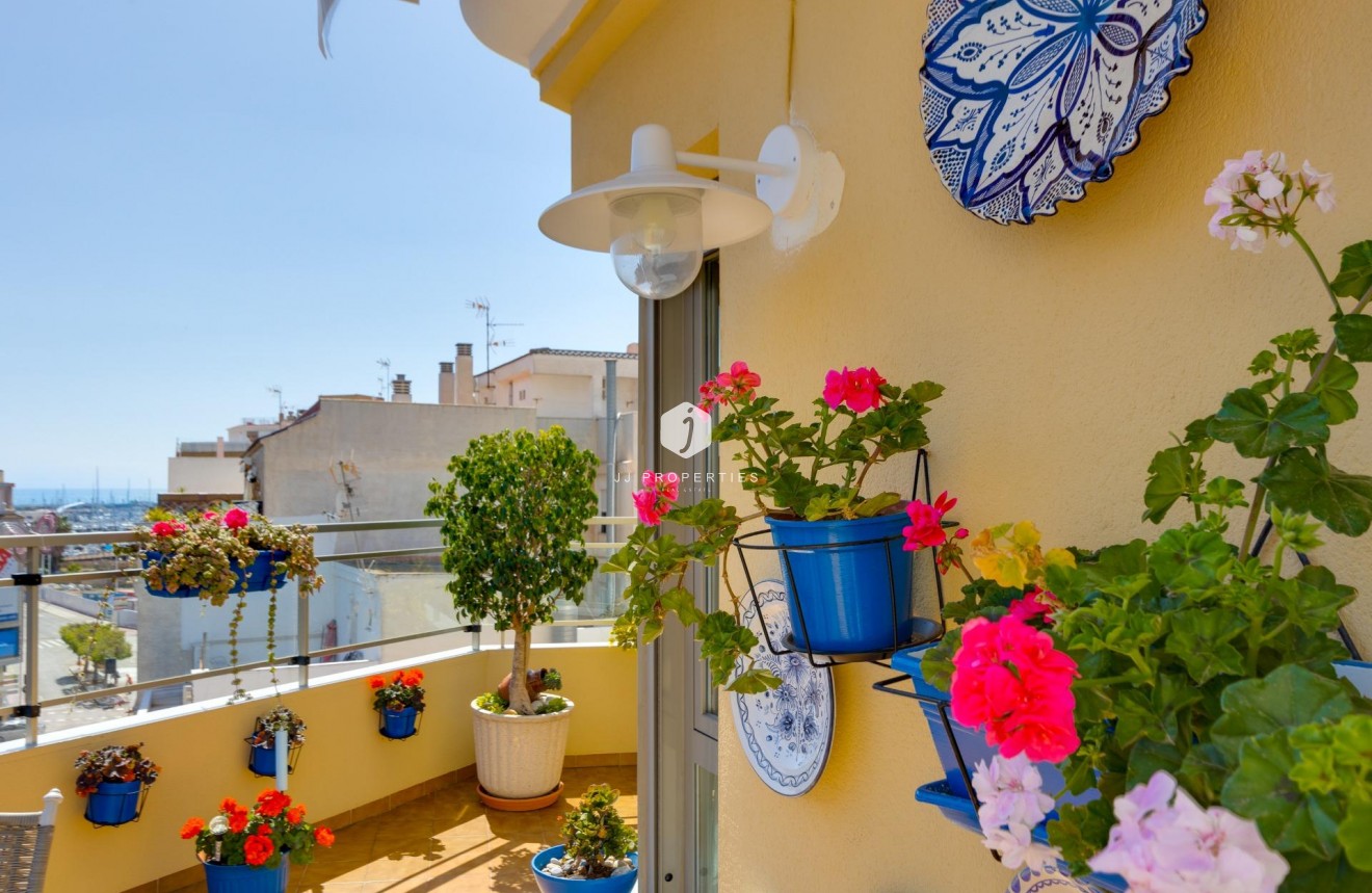 Z drugiej ręki - Daszek -
Torrevieja - Centro