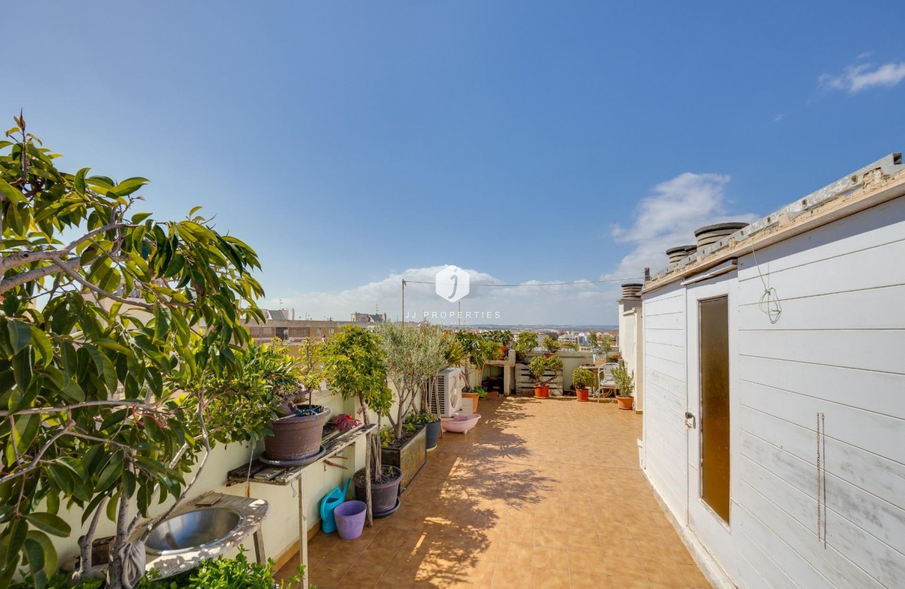 Z drugiej ręki - Daszek -
Torrevieja - Centro