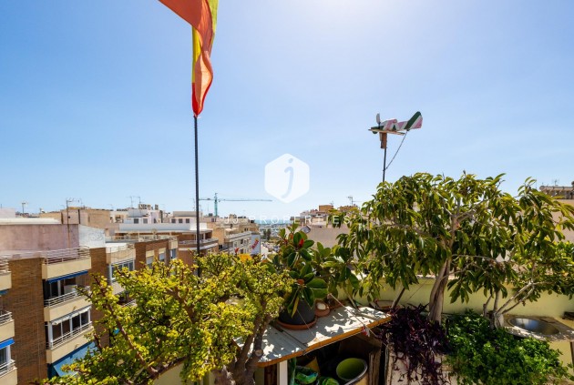 Z drugiej ręki - Daszek -
Torrevieja - Centro