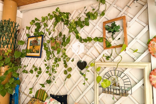 Resale - Apartment / flat -
Torrevieja - Costa Blanca