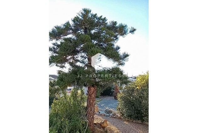 Segunda mano - Villa -
Torrevieja - La siesta