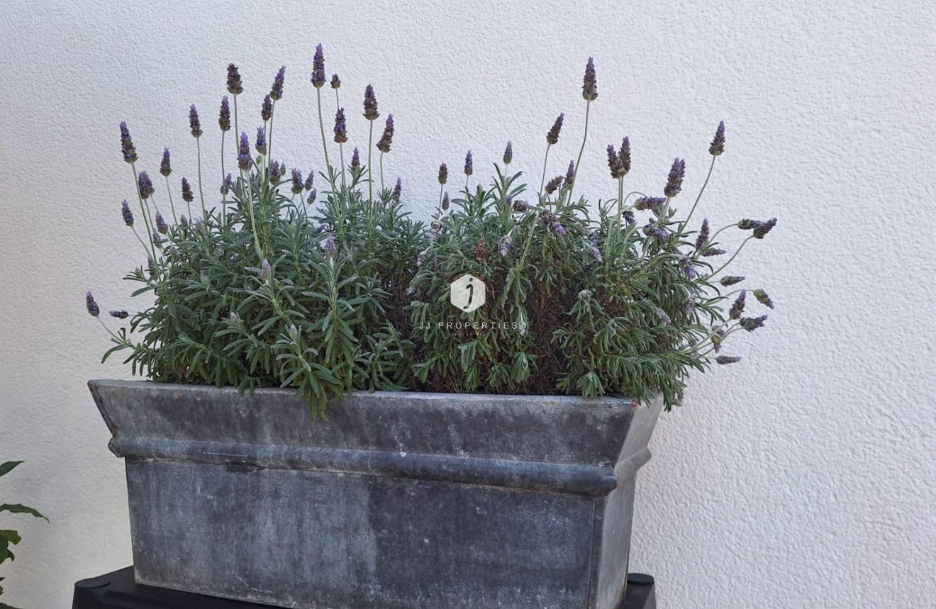 Segunda mano - Villa -
Torrevieja - Los Balcones - Los Altos del Edén