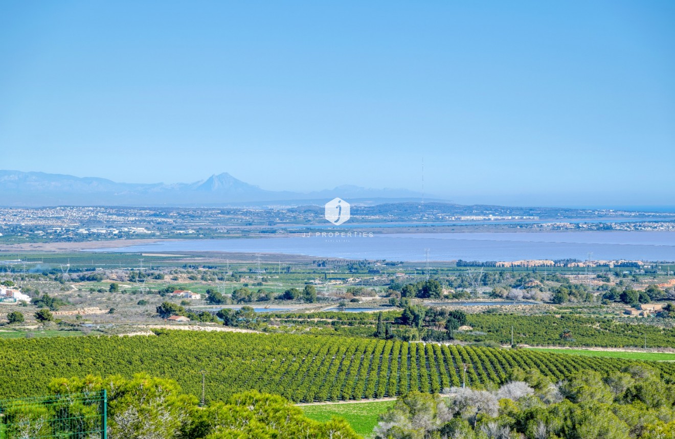 Aus zweiter Hand - Villa -
San Miguel de Salinas - Inland