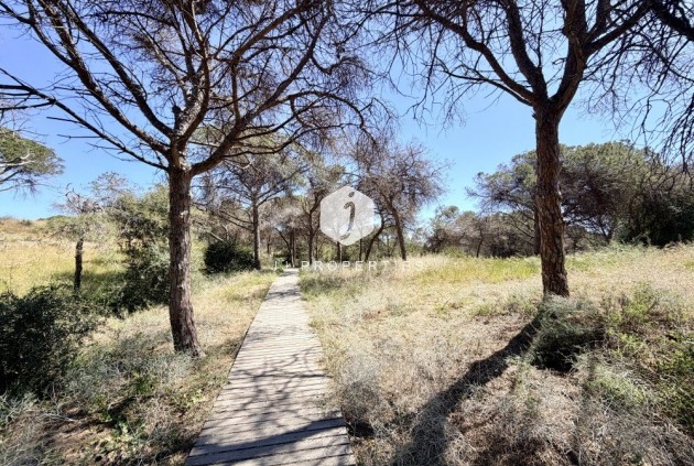 Resale - Apartment / flat -
Guardamar del Segura - Costa Blanca