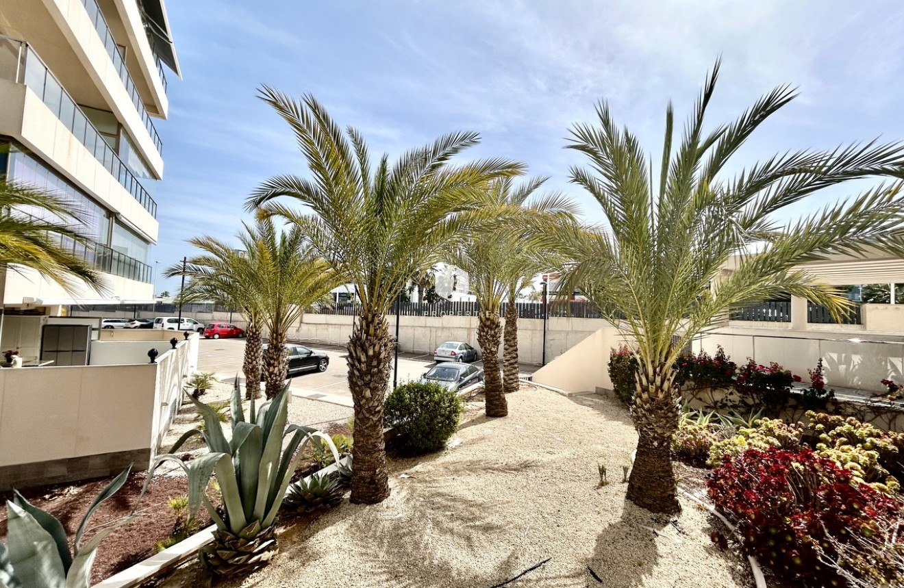 Aus zweiter Hand - Wohnung -
Los Dolses - Inland