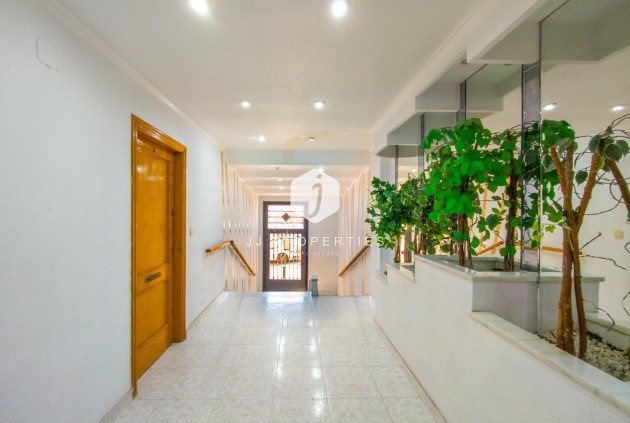 Tweedehands - Appartement / flat -
Torrevieja - Estacion de autobuses