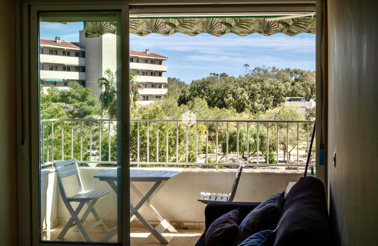 Tweedehands - Appartement / flat -
Guardamar del Segura - Costa Blanca