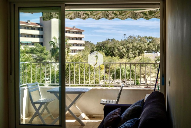 Tweedehands - Appartement / flat -
Guardamar del Segura - Costa Blanca