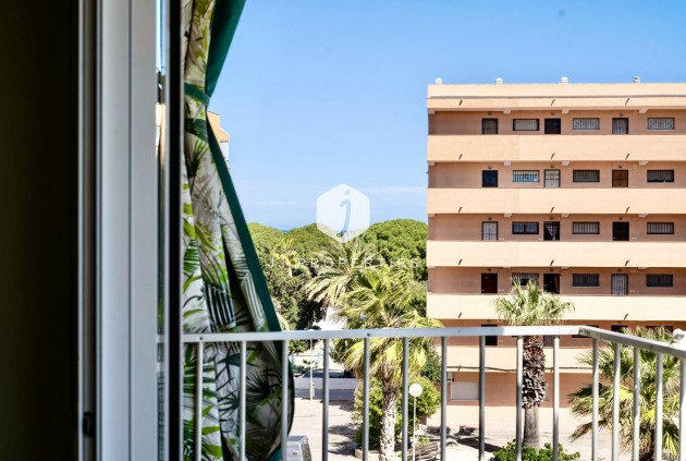 Tweedehands - Appartement / flat -
Guardamar del Segura - Costa Blanca