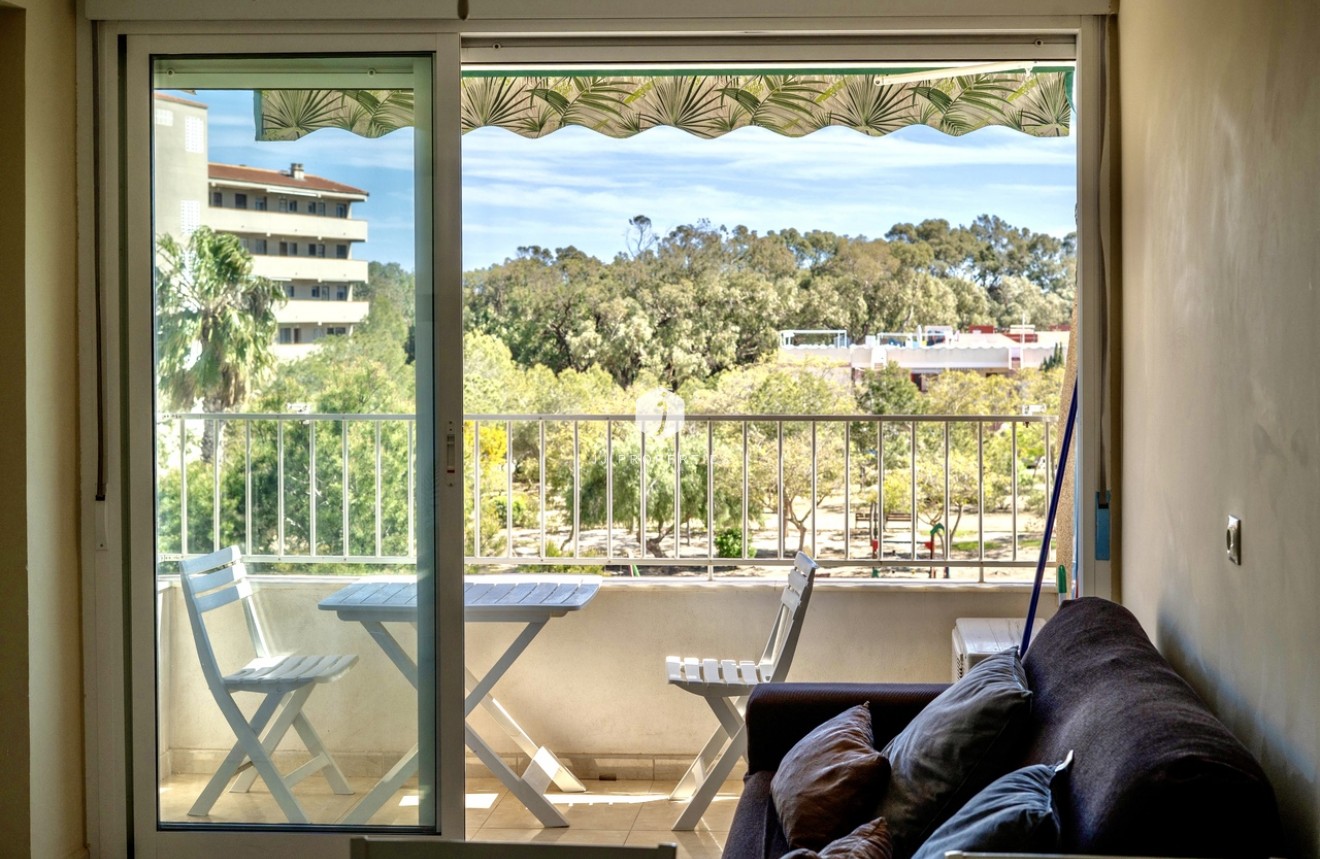 Tweedehands - Appartement / flat -
Guardamar del Segura - Costa Blanca