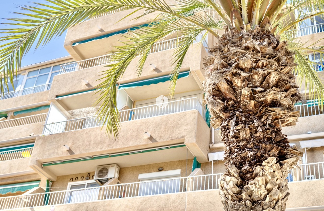 Tweedehands - Appartement / flat -
Guardamar del Segura - Costa Blanca