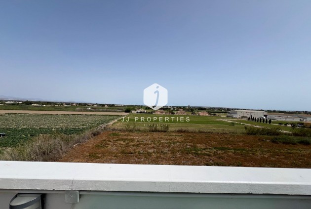 Segunda mano - Apartamento / piso -
Dolores - Comunidad Valenciana