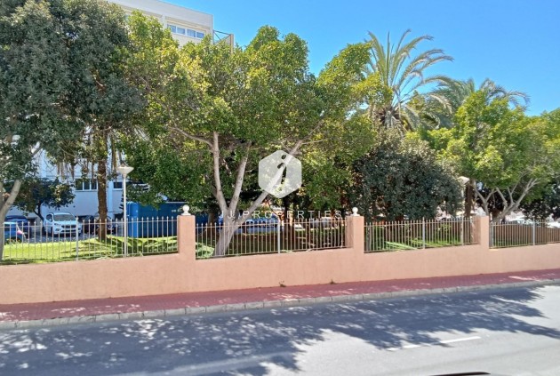 Aus zweiter Hand - Wohnung -
Torrevieja - Estacion de autobuses