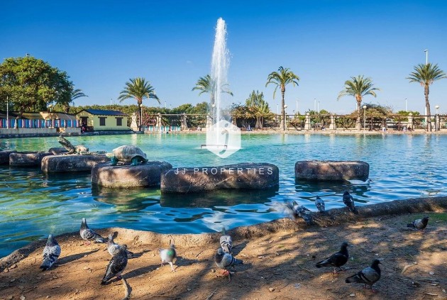 D'occasion - Appartement -
Torrevieja - Parque las naciones