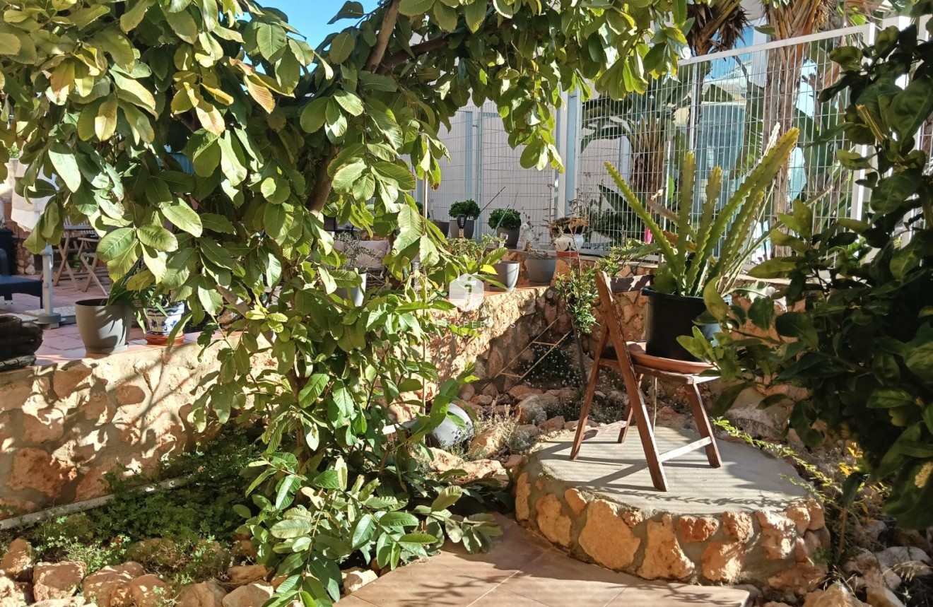 Resale - Apartment / flat -
Los Montesinos - Costa Blanca