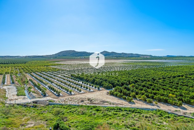 Z drugiej ręki - Mieszkanie w bloku -
Algorfa - Inland