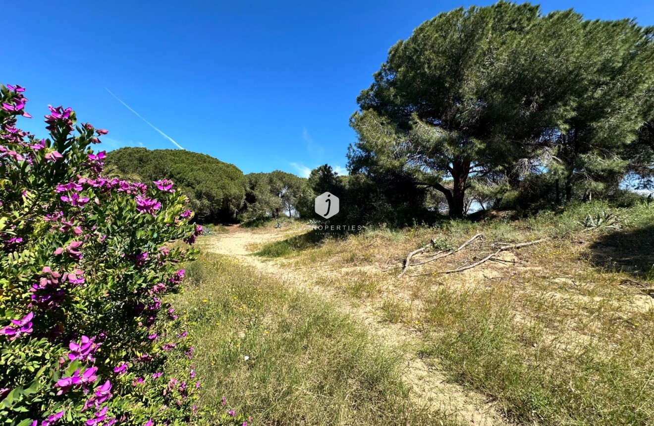 Resale - Chalet -
Guardamar del Segura - Costa Blanca