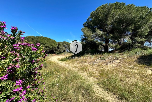 Resale - Chalet -
Guardamar del Segura - Costa Blanca