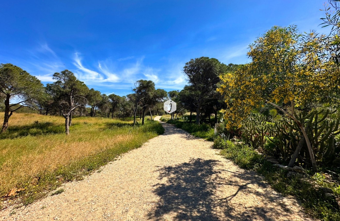 Resale - Chalet -
Guardamar del Segura - Costa Blanca