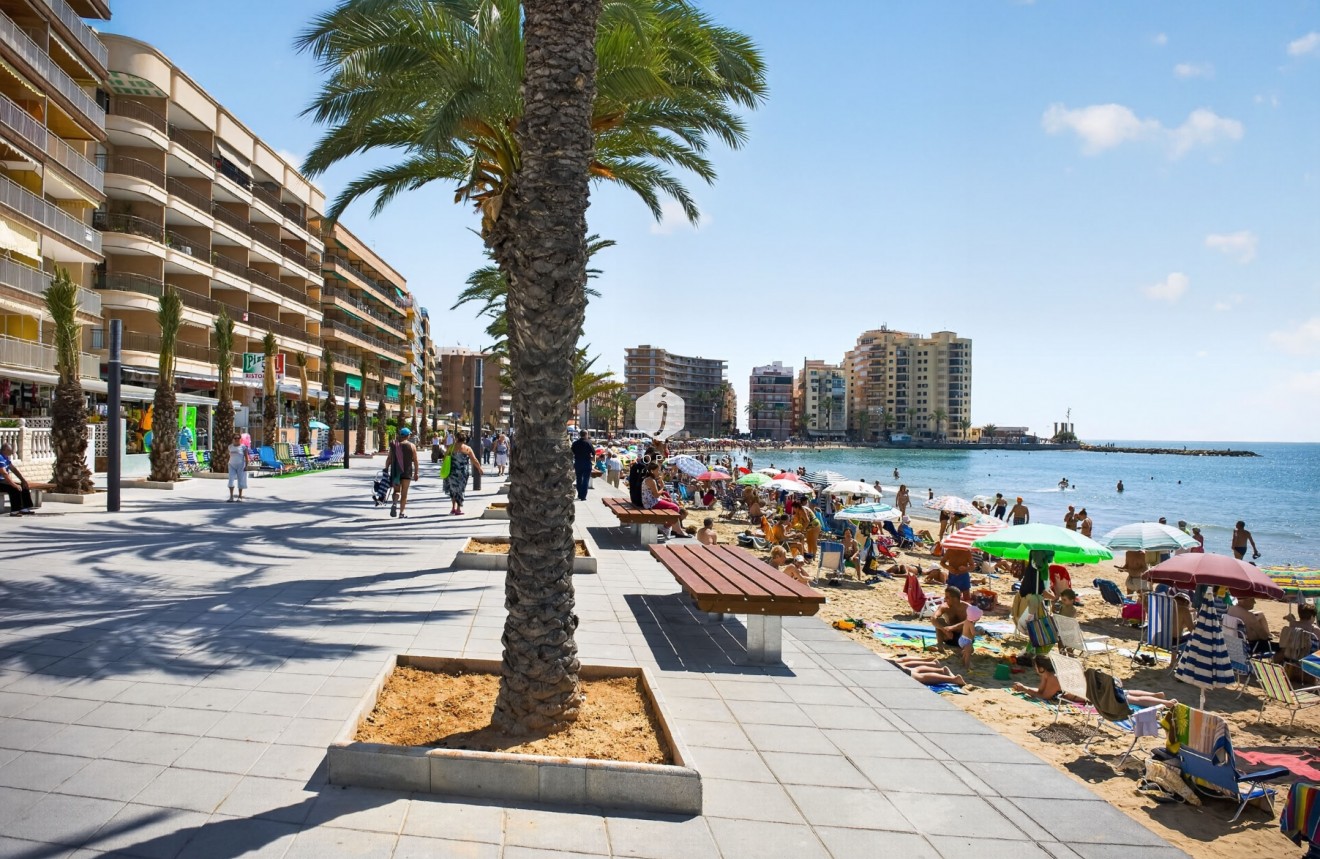 Wynajem długoterminowy - Mieszkanie w bloku -
Torrevieja - Playa del cura