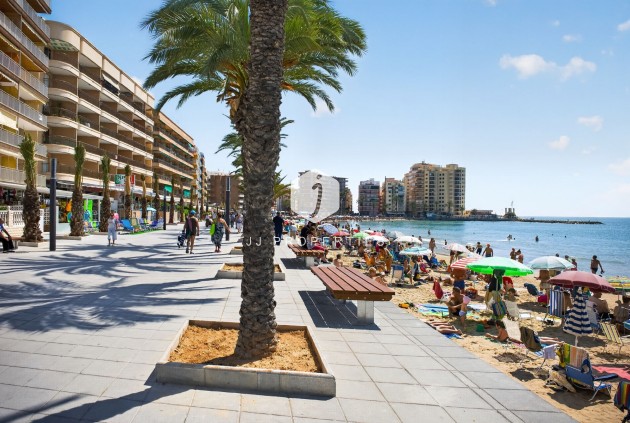 Wynajem długoterminowy - Mieszkanie w bloku -
Torrevieja - Playa del cura