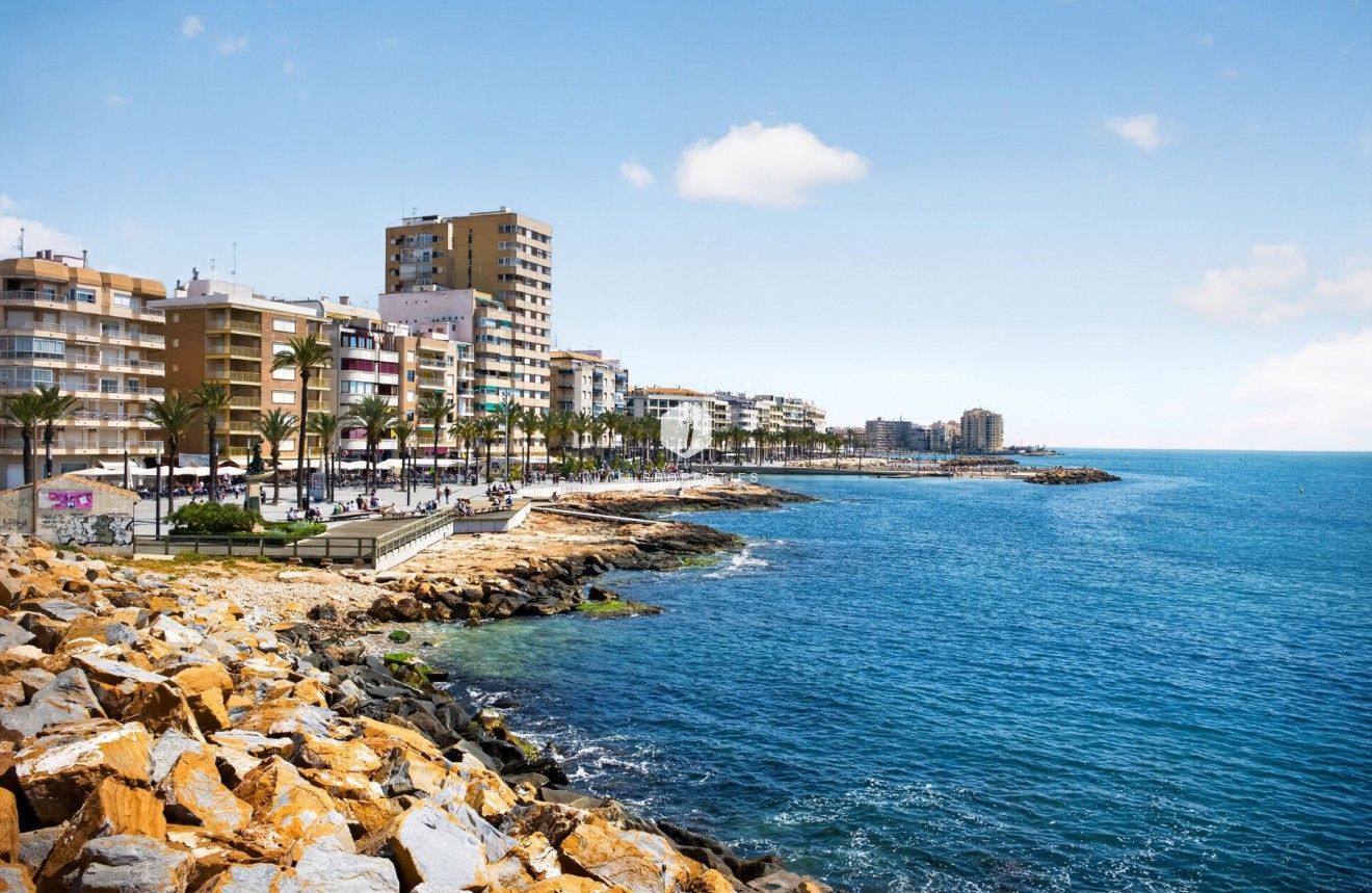 Wynajem długoterminowy - Mieszkanie w bloku -
Torrevieja - Playa del cura