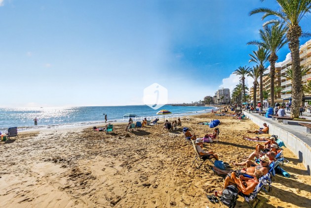 Wynajem długoterminowy - Mieszkanie w bloku -
Torrevieja - Playa del cura