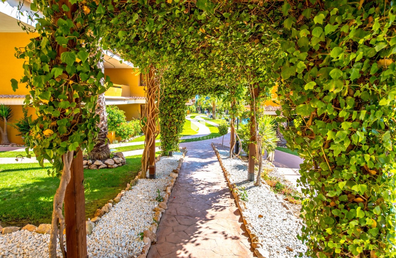 Aus zweiter Hand - Wohnung -
Torrevieja - Costa Blanca