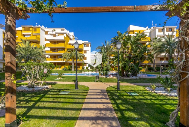 Aus zweiter Hand - Wohnung -
Torrevieja - Costa Blanca