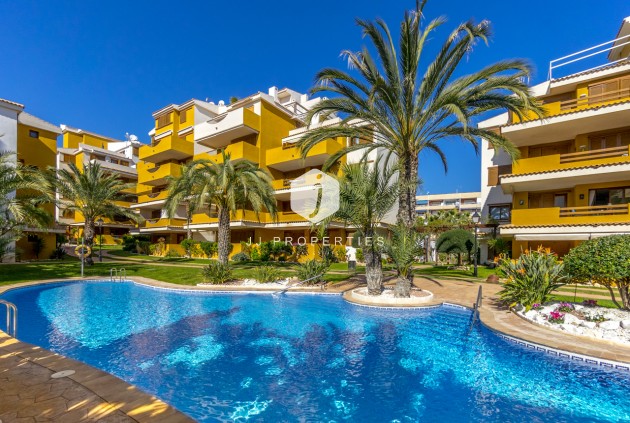Aus zweiter Hand - Wohnung -
Torrevieja - Costa Blanca