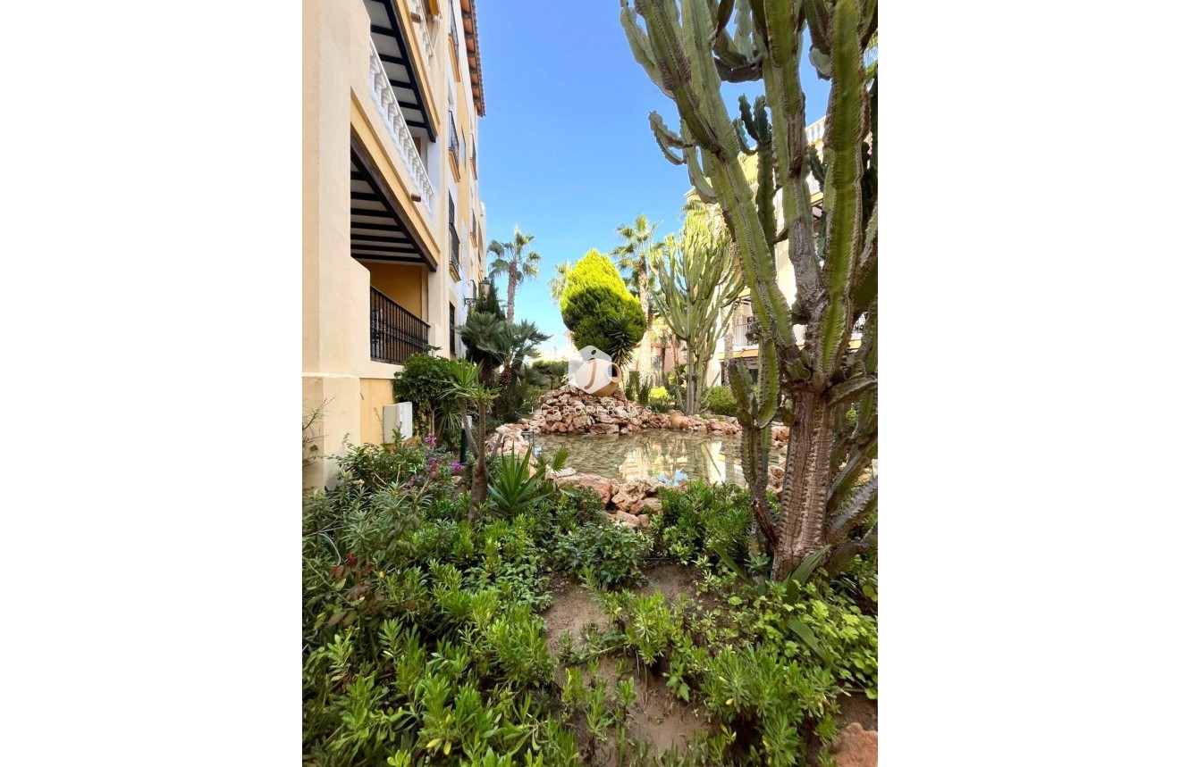 Segunda mano - Ático -
Torrevieja - Los Frutales