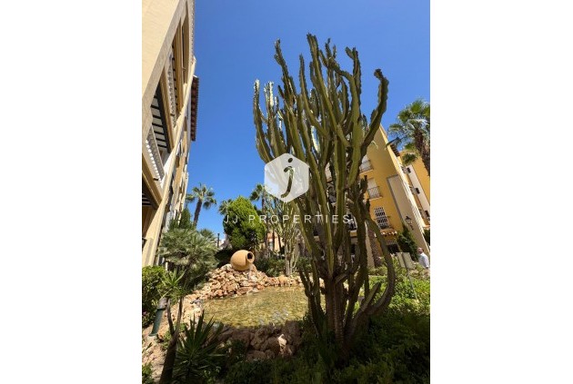 Segunda mano - Ático -
Torrevieja - Los Frutales