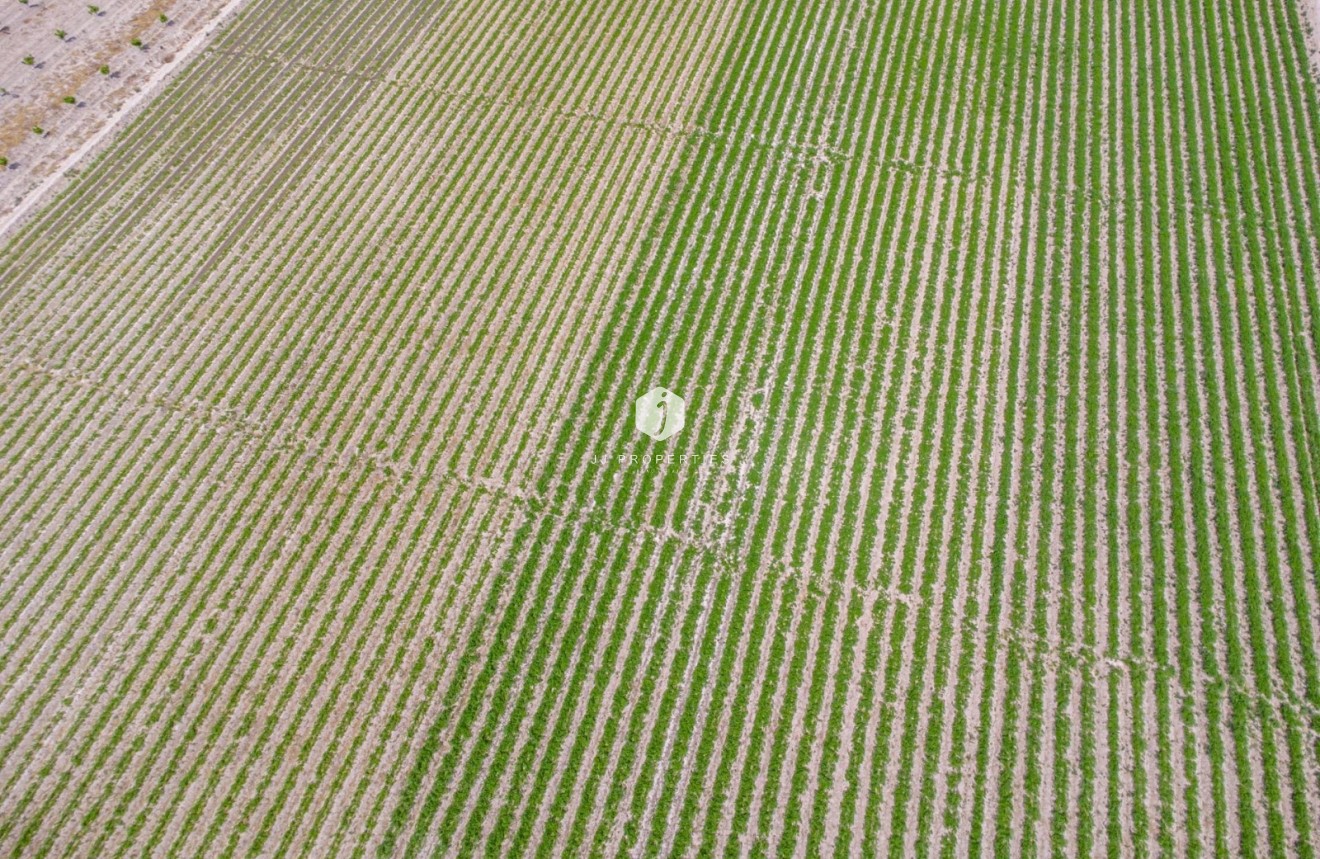 Resale - Country Property -
Orihuela - Desamparados