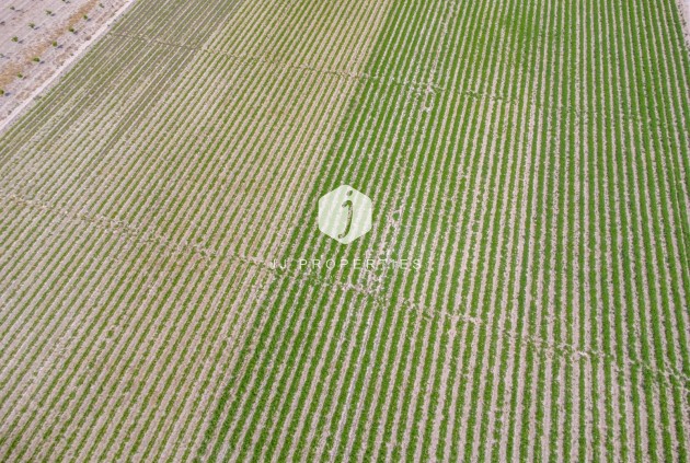 Resale - Country Property -
Orihuela - Desamparados