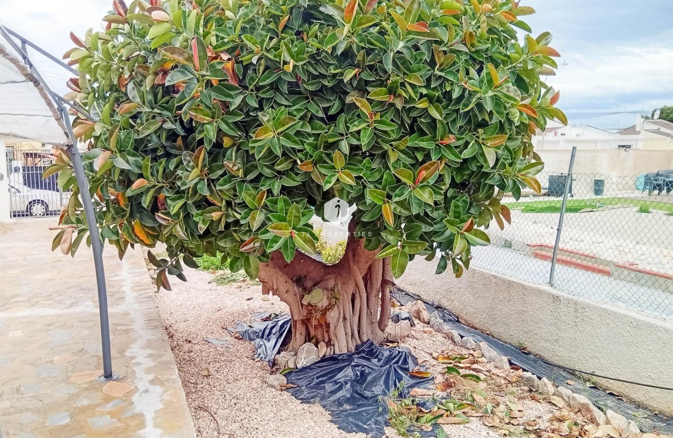 Tweedehands - Villa -
Torrevieja - La siesta