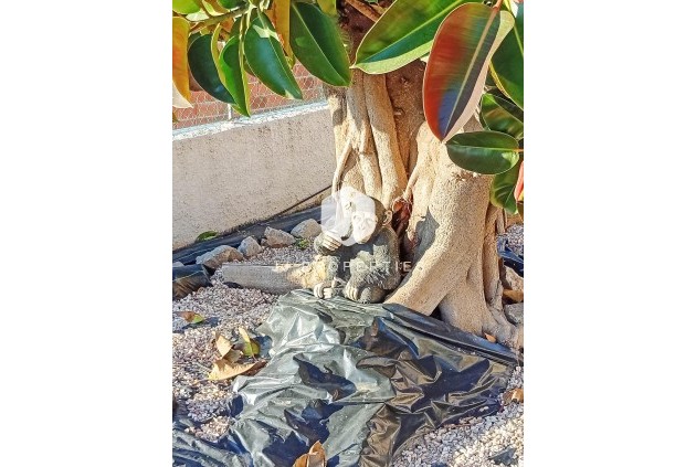 Tweedehands - Villa -
Torrevieja - La siesta