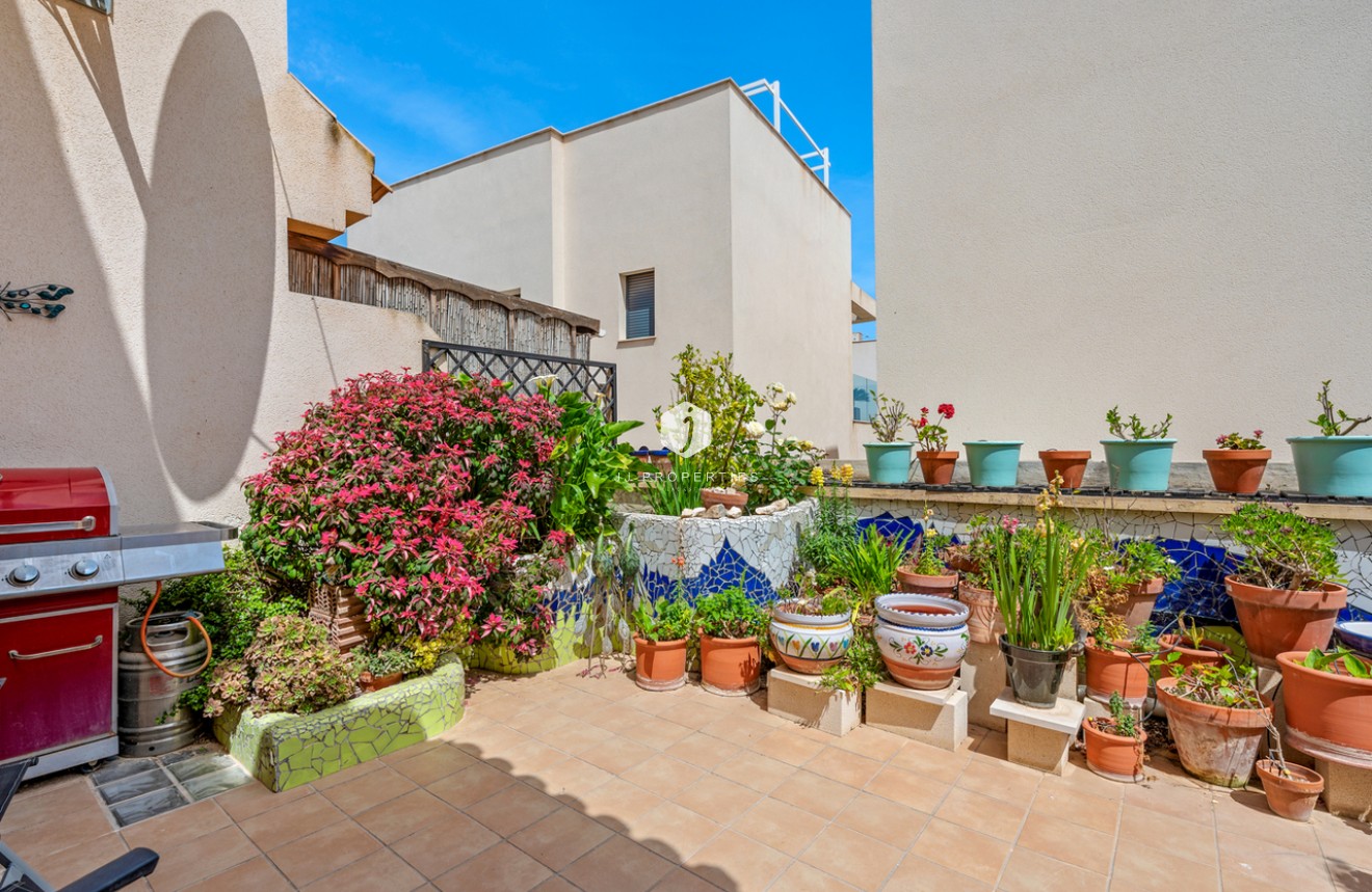 Tweedehands - Chalet -
San Miguel de Salinas - Inland