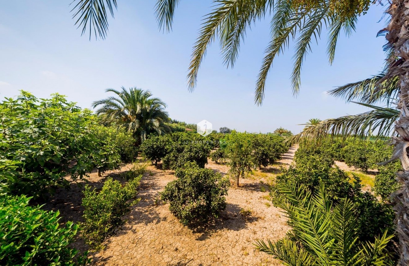 Resale - Country Property -
Almoradí - Inland