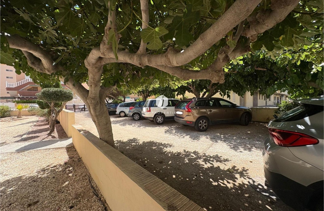 Aus zweiter Hand - Wohnung -
Torrevieja - Costa Blanca