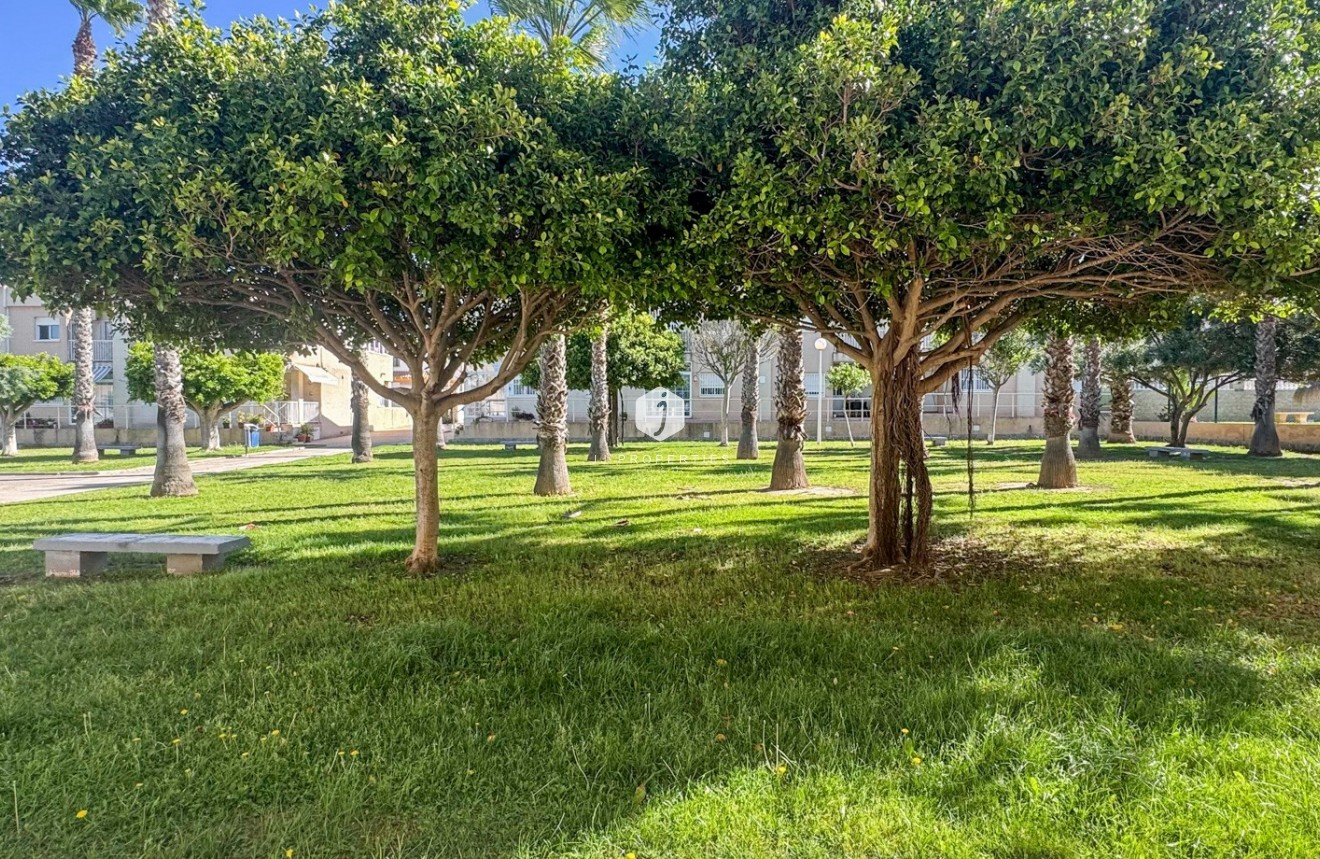 Aus zweiter Hand - Duplex -
Torrevieja - Costa Blanca